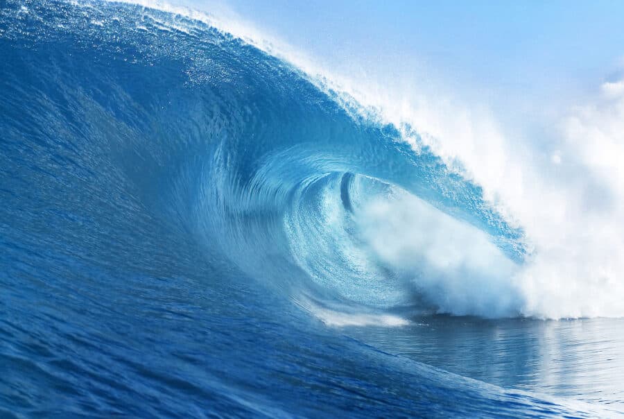 High Performance Leadership Under Chemical Fire: Riding the Chemical Wave